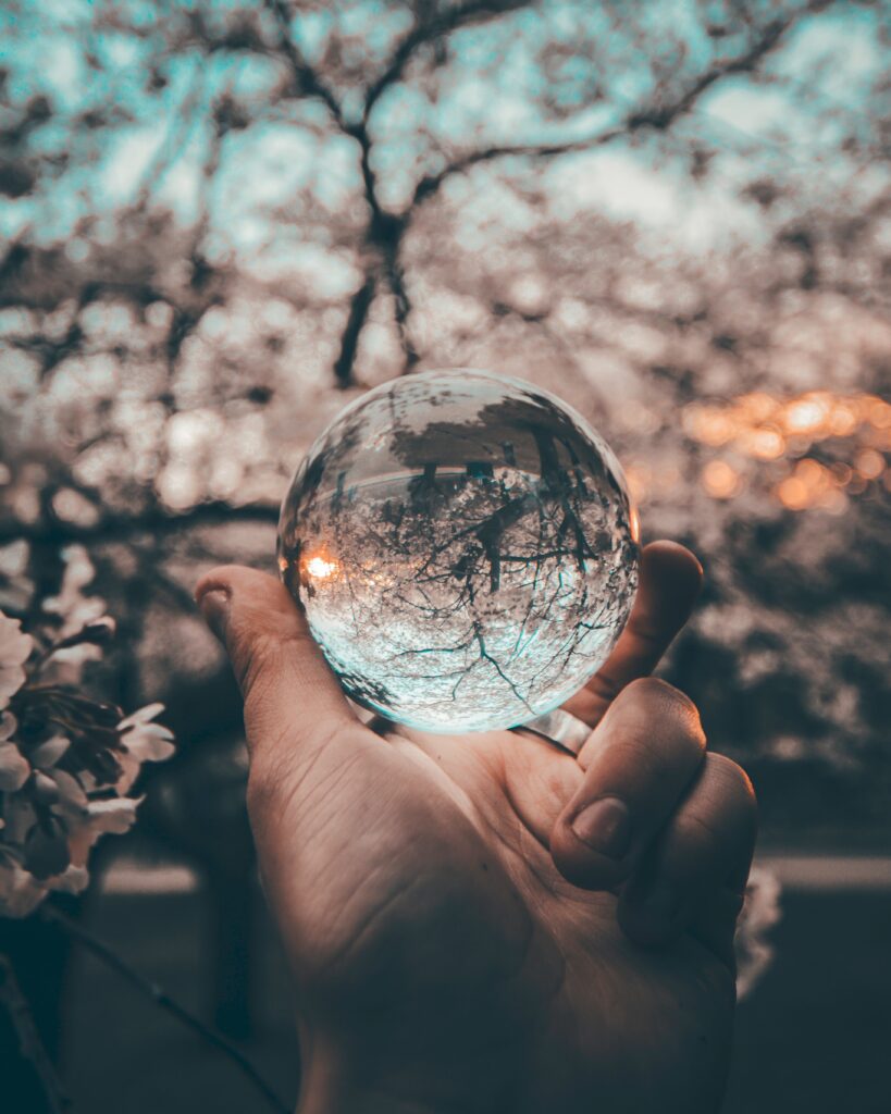 an image of a blossom tree with a hand holding a clear glass globe